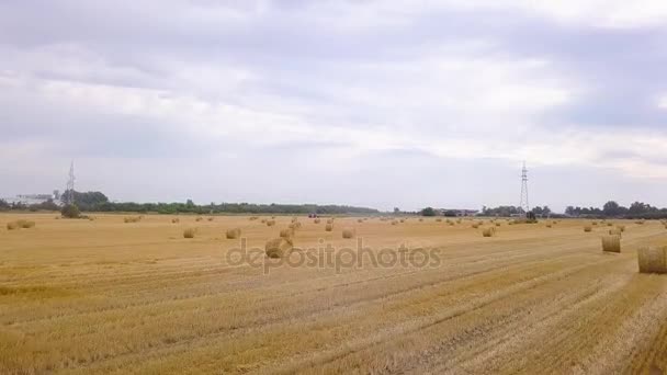 Bulutların üzerinde alan ile rulo saman yaz güneşli gün. Havadan görünümü — Stok video