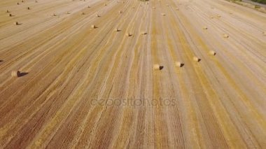 Güzel bir saman balyasıyla güzel bir tarlanın üzerinde uçuyor. Hava aracı görüntüleri 4k 