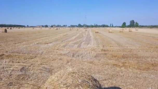 Облака над полем с рулонами сена в летний солнечный день. Вид с воздуха — стоковое видео