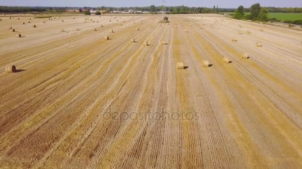 Clouds above field with rolls of hay at summer sunny day. Aerial view — Stock Video