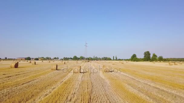 Wolken über dem Feld mit Heurollen an einem sonnigen Sommertag. Luftbild — Stockvideo