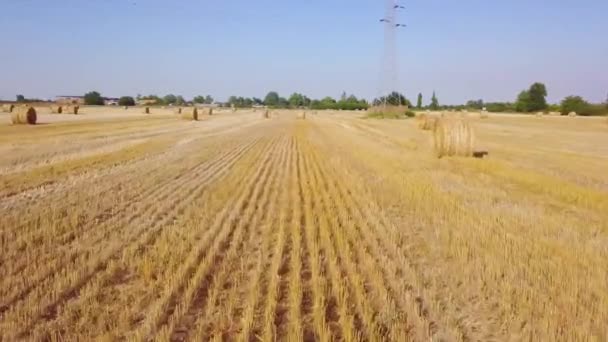 Nuvens acima do campo com rolos de feno no dia ensolarado de verão. Vista aérea — Vídeo de Stock