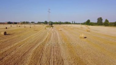 Güzel bir saman balyasıyla güzel bir tarlanın üzerinde uçuyor. Hava aracı görüntüleri 4k 