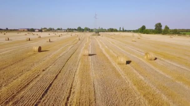 Volando sobre un hermoso campo con pacas de heno. Imágenes aéreas de drones 4k — Vídeos de Stock