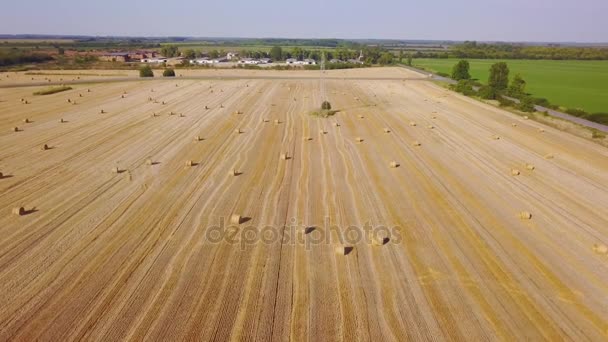 Flying over beautiful field with bale of hay. Aerial drone footage 4k — Stock Video