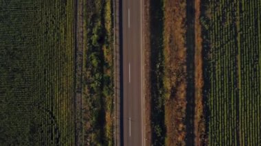 Hava uçuş alanları arasındaki yol üzerinde. Hava dron görüntüleri 4k