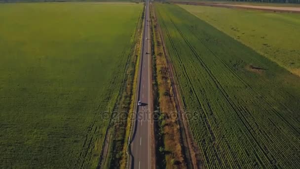 Volo aereo sulla strada tra i campi. Filmato aereo drone 4k — Video Stock