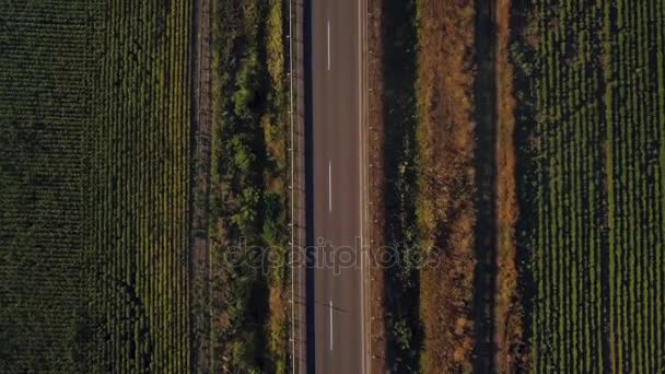 Letecké letu nad silnicí mezi poli. Hukot leteckých záběrů 4k — Stock video