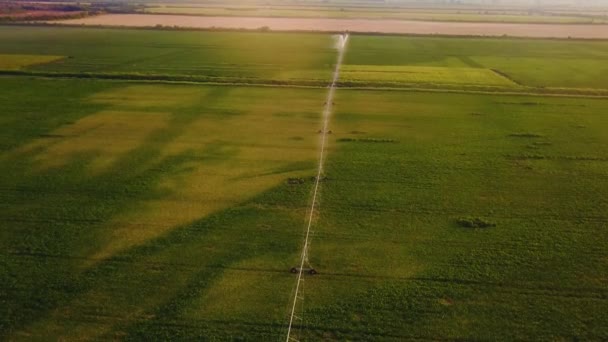 Воздушный обзор сельскохозяйственного разбрызгивателя на арбузном поле — стоковое видео