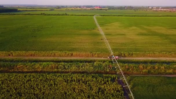 Een luchtfoto van een agrarische sprinkler in een watermeloen veld — Stockvideo