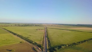 Ağaç ve buğday arasında uçuş