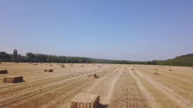 Güzel bir saman balyasıyla güzel bir tarlanın üzerinde uçuyor. Hava aracı görüntüleri 4k