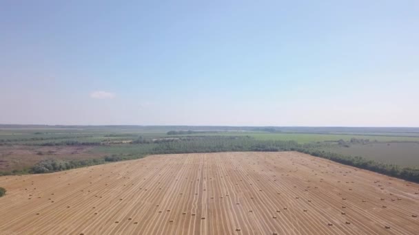 带着一捆干草飞过美丽的田野.Aerial drone footage 4k — 图库视频影像