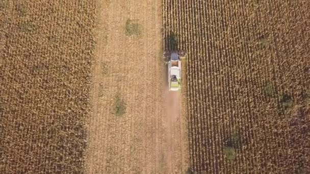 Luchtfoto Van Het Platteland Een Oogstmachine Die Het Veld Werkt — Stockvideo