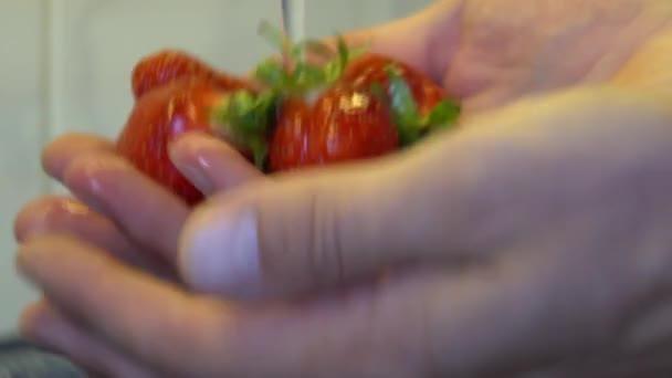 Primer Plano Hombre Lavando Fresas Bajo Chorro Agua — Vídeo de stock