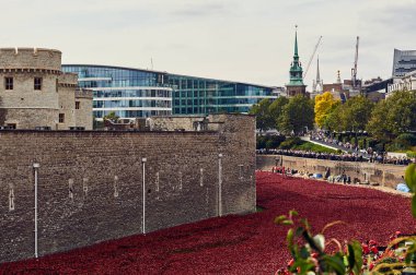Kırmızı gelincikler Londra Kulesi 'nin önünde