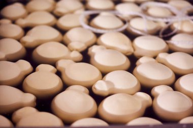 Scamorza peynir topları suda yüzüyor.