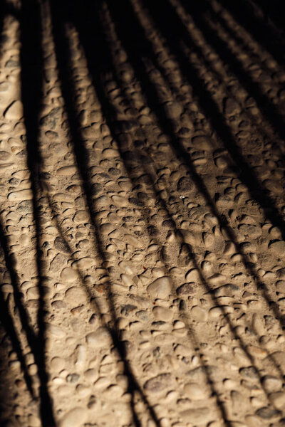 Palm leaf shadow on gravel