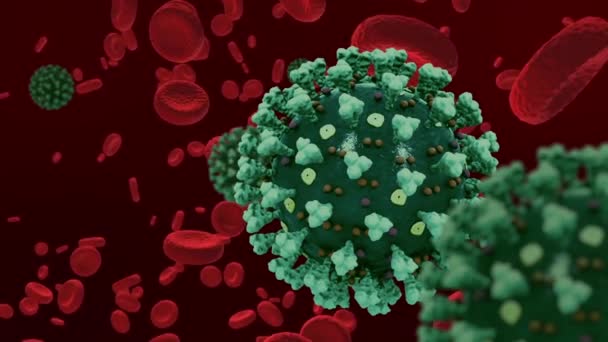 Visualisierung Des Coronavirus Neben Der Blutbahn — Stockvideo