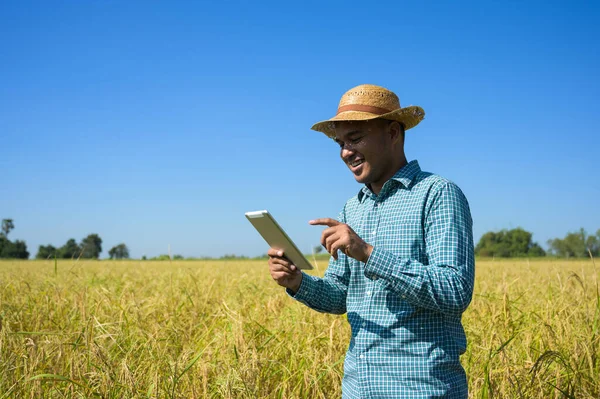 Agricultor Segurando Tablet Para Verificar Resultados Financeiros Agricultura — Fotografia de Stock