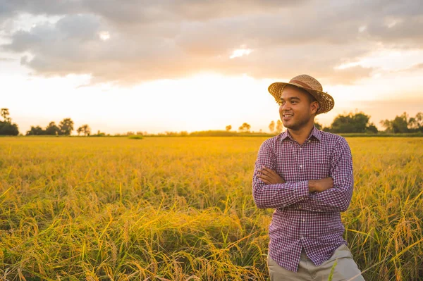 Joven Asiático Agricultor Arrozal Campo —  Fotos de Stock