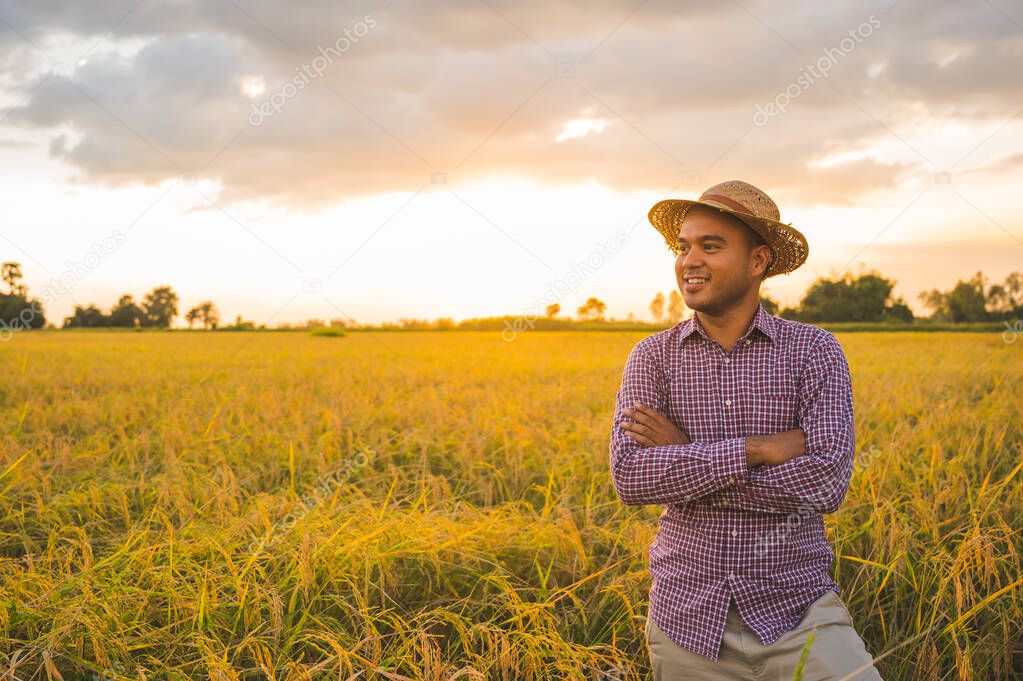 Young asian farmer and paddy field