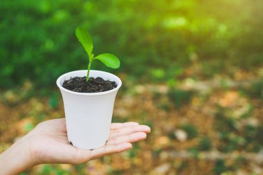 Dünya Çevre Günü konsepti. Saksıda el ele tutuşmak.