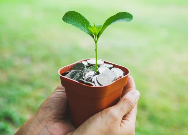 Tangan Memegang Uang Dalam Pot Dengan Tanaman Tumbuh Konsep Simpan — Stok Foto