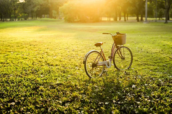Piękny Zabytkowy Rower Parku Światłem Słonecznym — Zdjęcie stockowe