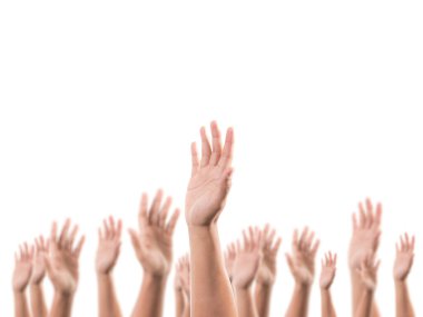 Bir sürü yükselen el.