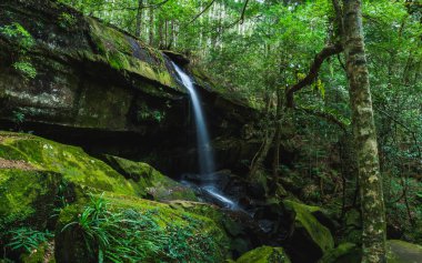 Tum Yai Şelalesi, Phukradueng, Loei vilayeti, Tayland Ulusal Parkı.