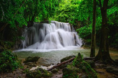 Huay Mae Khamin Şelaleleri Srinakarin Ulusal Parkı 'nda derin ormanlarda, Kanchanaburi, Tayland