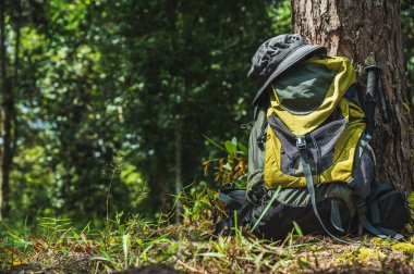 Sırt çantaları zengin yeşil ormanın derinliklerinde uzanıyordu. Bu resim doğayı inceleyen bir gezgin hakkında..