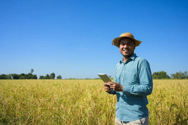 Agricultor Segurando Tablet Para Verificar Resultados Financeiros Agricultura — Fotografia de Stock