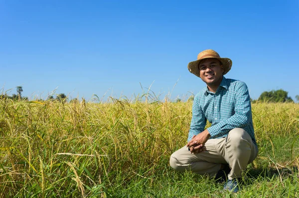 Jovem Asiático Agricultor Paddy Campo — Fotografia de Stock