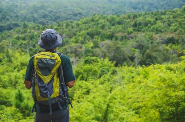 Hippi yürüyüşçüler kırmızı yağmurluk giyer, yeşil sırt çantaları takar, ormanın derinliklerine seyahat ederler..