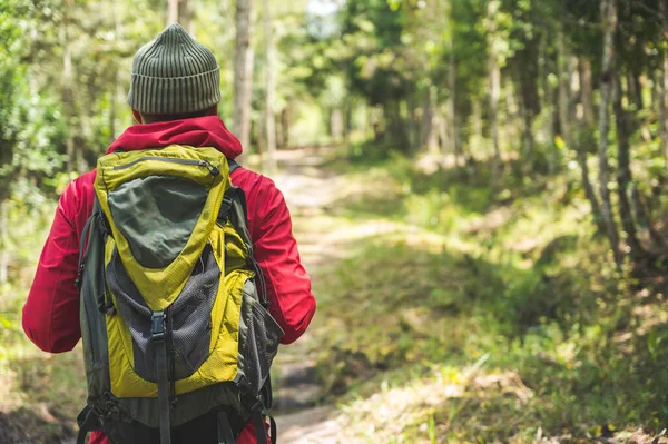 Hipster Hikers Wear Red Raincoats Green Backpacks Travel Deep Forest — Stock Photo, Image