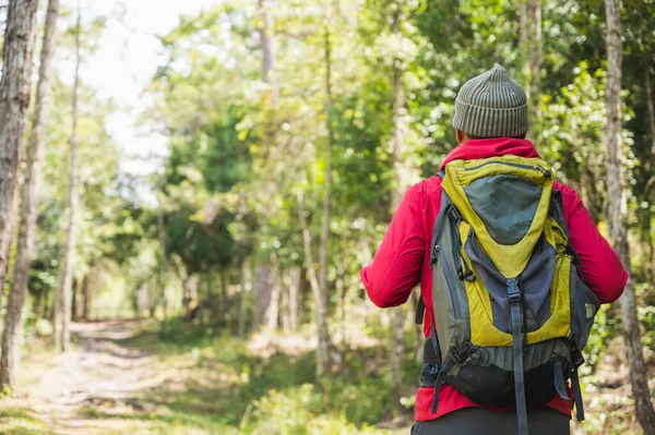 Hipster Hikers Wear Red Raincoats Green Backpacks Travel Deep Forest — Stock Photo, Image