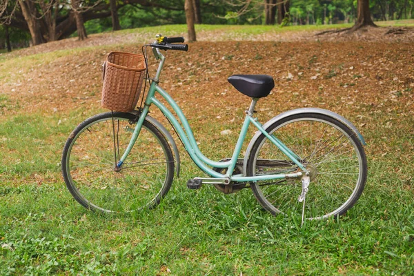 Piękny Rower Vintage Parku — Zdjęcie stockowe