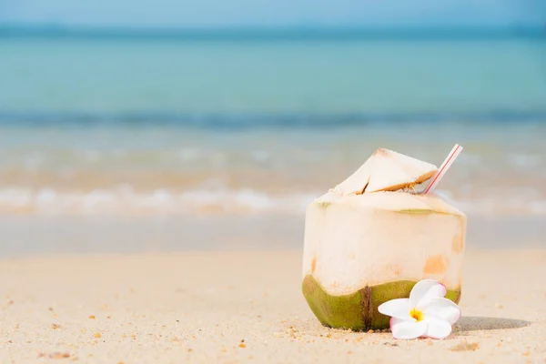 Kokosnüsse Mit Trinkhalm Tropischen Strand — Stockfoto