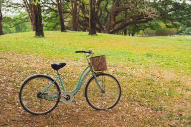 Parkta güzel bir klasik bisiklet