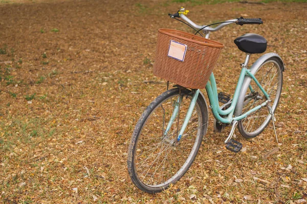Красивый Винтажный Велосипед Парке — стоковое фото