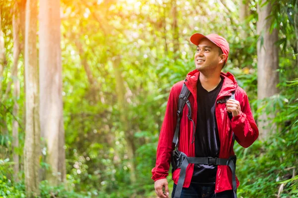 Jovem Asiático Homem Viagem Caminhadas Floresta Montanha Desfrutar Andar Natureza — Fotografia de Stock
