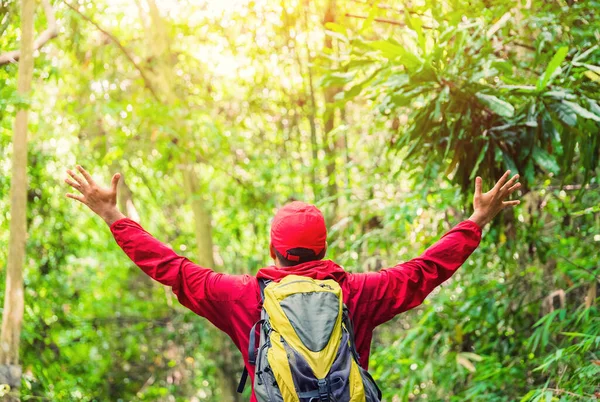 Jovem Asiático Homem Viagem Caminhadas Floresta Montanha Desfrutar Andar Natureza — Fotografia de Stock