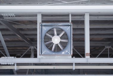 Fan Klima