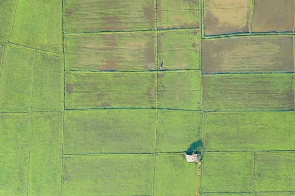 Vista aérea campo agrícola — Fotografia de Stock