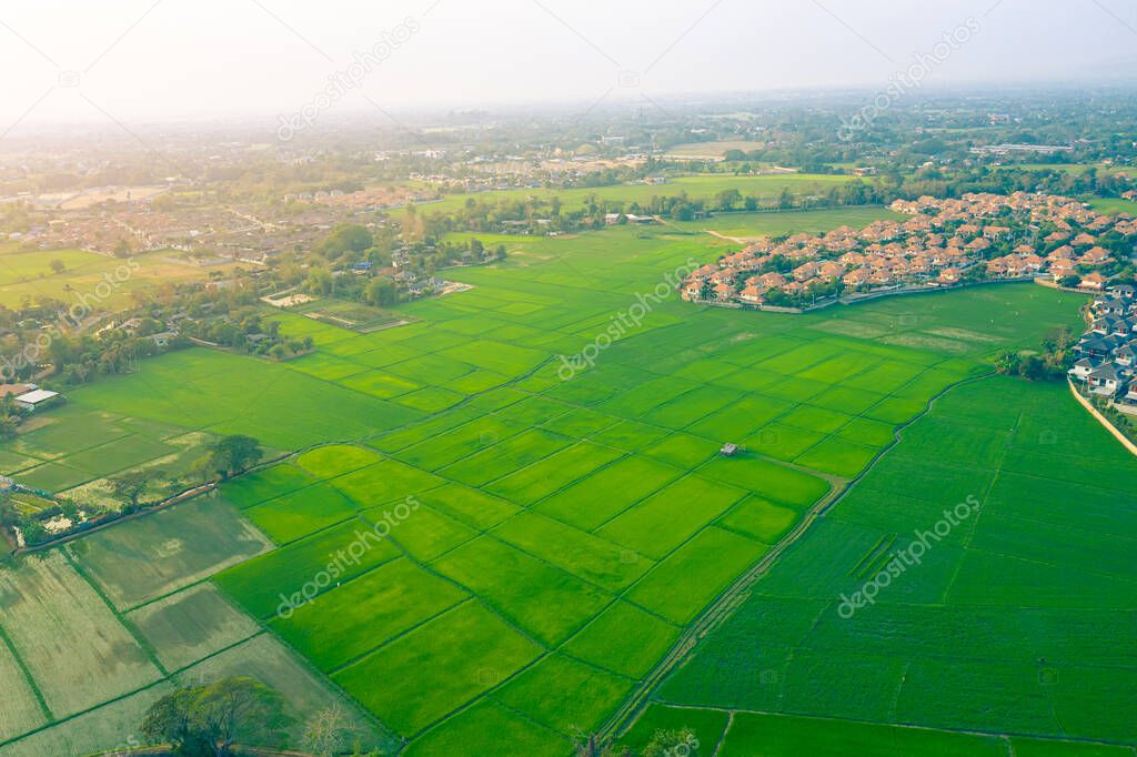 Aerial view of rice field and housing estate in Chiang Mai province of Thailand.