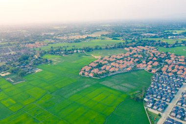 Tayland 'ın Chiang Mai bölgesindeki pirinç tarlası ve konut manzarası.