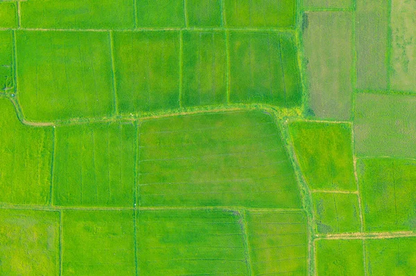 緑の農地 区域の空中風景 — ストック写真