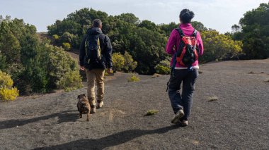 Bir çift ve köpekleri El Hierro adasında yürüyüş yapıyorlar. El Hierro dinlenmek ve doğayla iletişim kurmak için ideal bir yer..